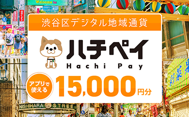 ハチペイ アプリで使える 15,000円分