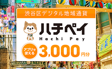 ハチペイ アプリで使える 3,000円分