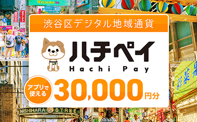 ハチペイ アプリで使える 30,000円分