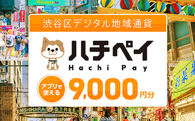 ハチペイ アプリで使える 9,000円分
